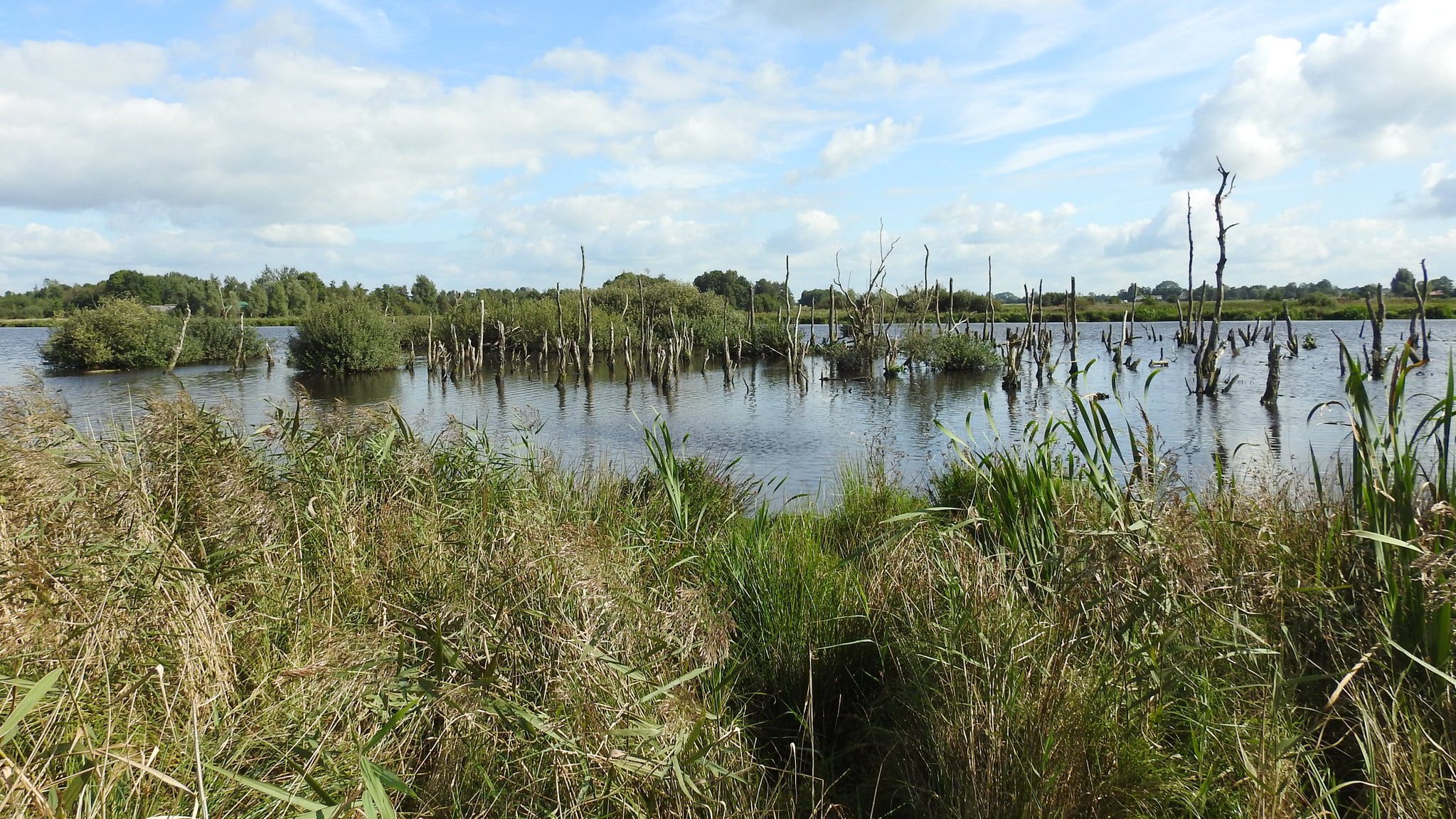 Een Reis door Friese Taal, Tradities en Identiteit