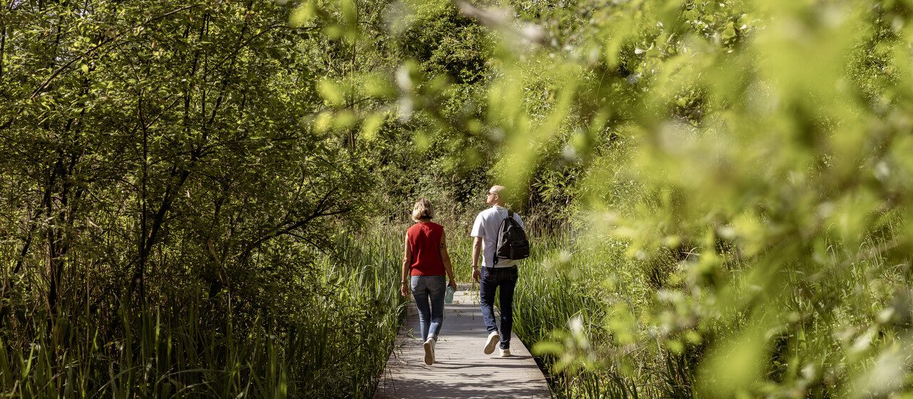 Complete Reisgids voor Cultureel West-Vlaanderen