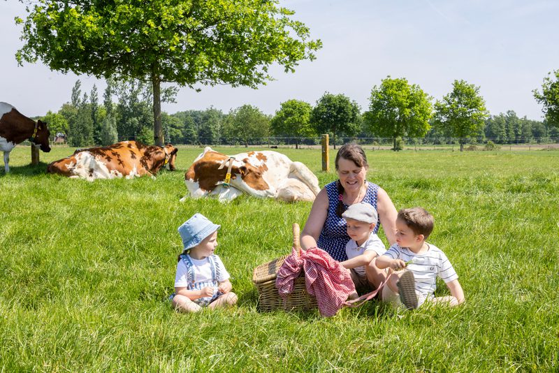 West-Vlaamse hoeve picknick © Provinciebestuur West-Vlaanderen - Foto door Jan D’Hondt